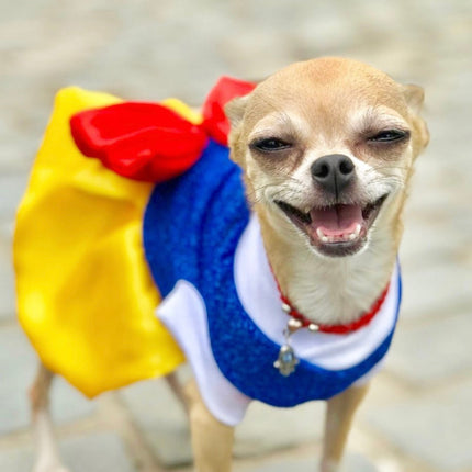 Snow White Pets Costume-1