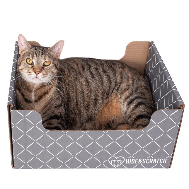 Hide & Scratch Extra-Large Cat Scratcher Box-5