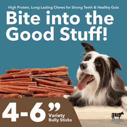 4-6" Variety Bully Sticks
