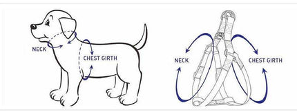 Illustration showing how to measure neck and chest girth for STEP IN HARNESS fitting for dogs.