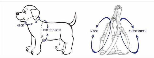 Illustration showing how to measure neck and chest girth for STEP IN HARNESS fitting for dogs.