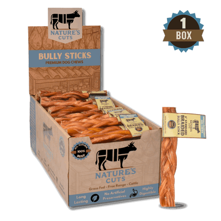 6" Standard Braided Bully Sticks Display Box