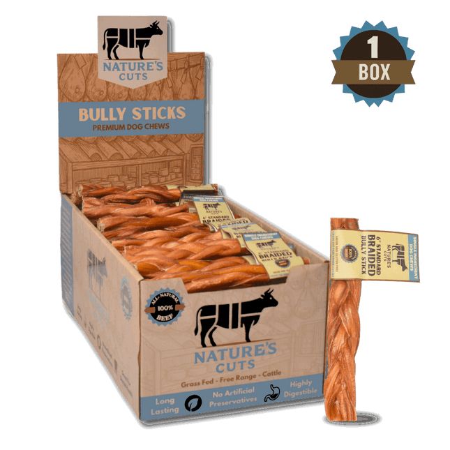 6" Standard Braided Bully Sticks Display Box