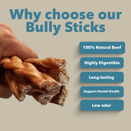6" Standard Braided Bully Sticks Display Box
