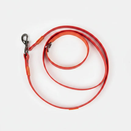 Scarlet Peaks Waterproof Leash-1