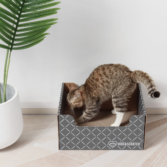 Hide & Scratch Extra-Large Cat Scratcher Box-1