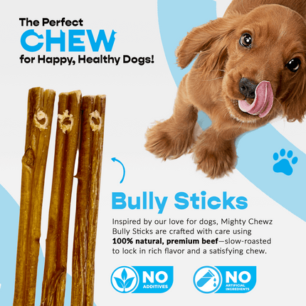 12" Standard Bully Sticks - Refill Pack