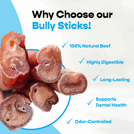 12" Standard Bully Sticks - Refill Pack