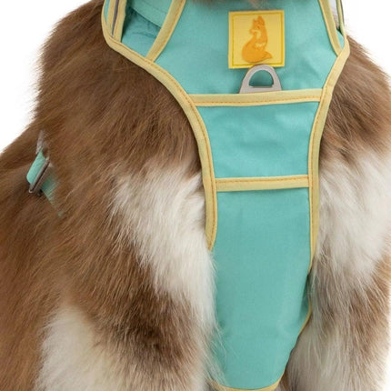 Island Vibes Ultimate Dog Harness-4