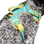 Aqua / Sunshine Yellow / Small