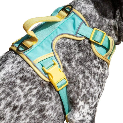 Island Vibes Ultimate Dog Harness-0