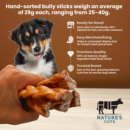 6" Standard Braided Bully Sticks Display Box