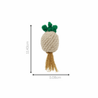Onion